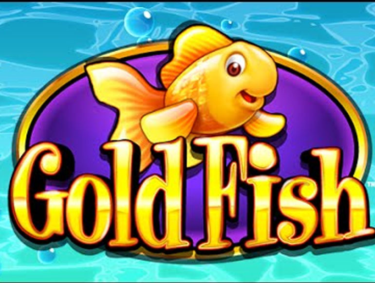 Download gold fish slot game